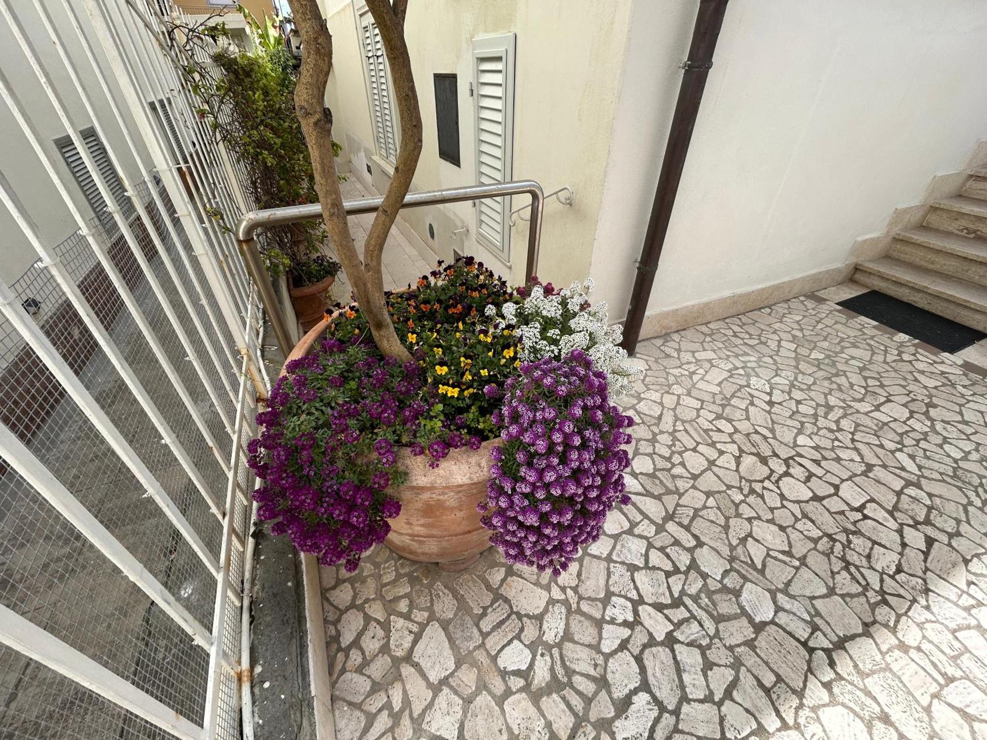 La Casa Di Rosi Al Mare Apartment Vada Ngoại thất bức ảnh